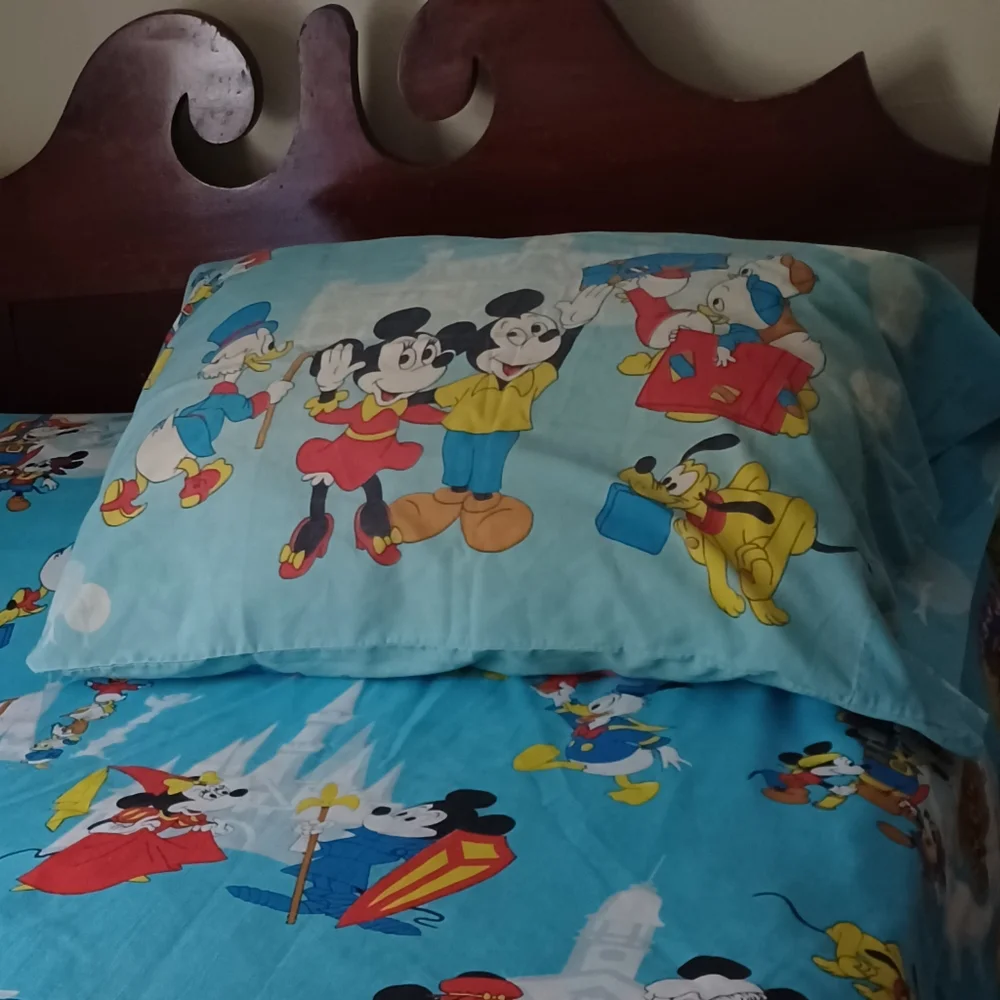 Vintage 70s Walt Disney Frontierland Donald duck Mickey pillowcase & bedspread